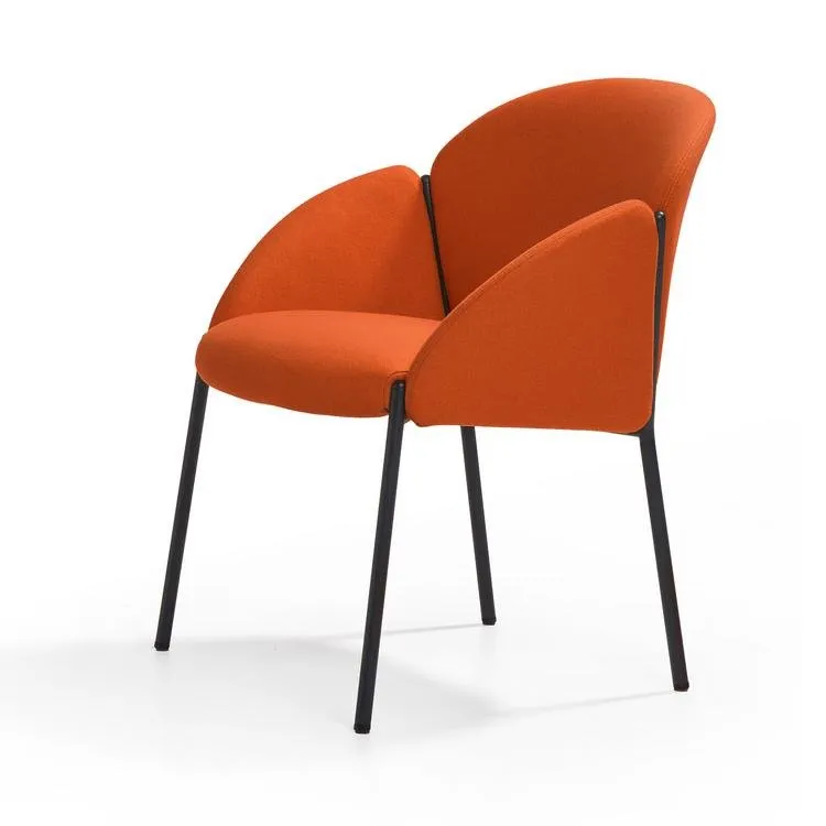 Andrea Chair by Artifort