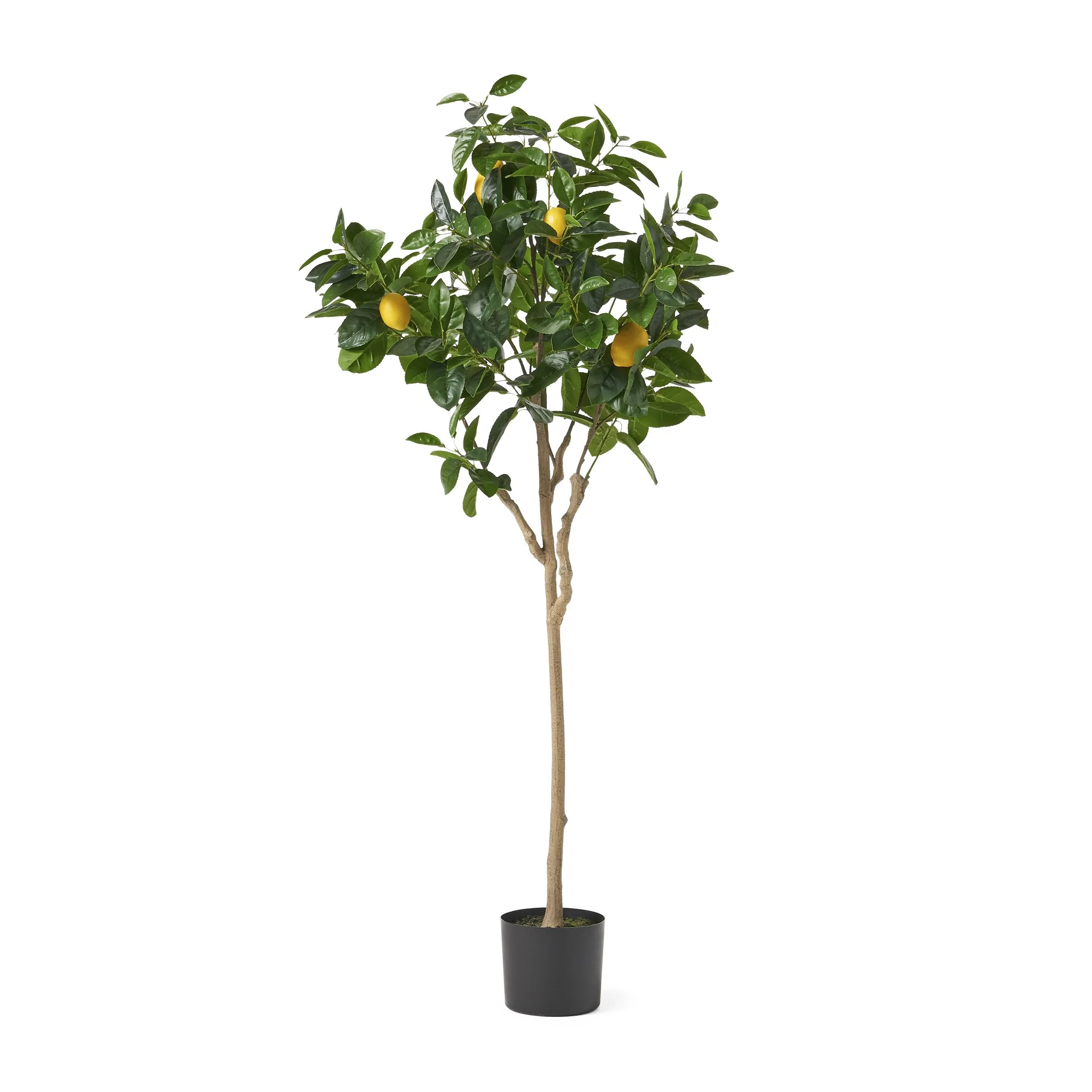 Artificial Lemon Tree - NH719313