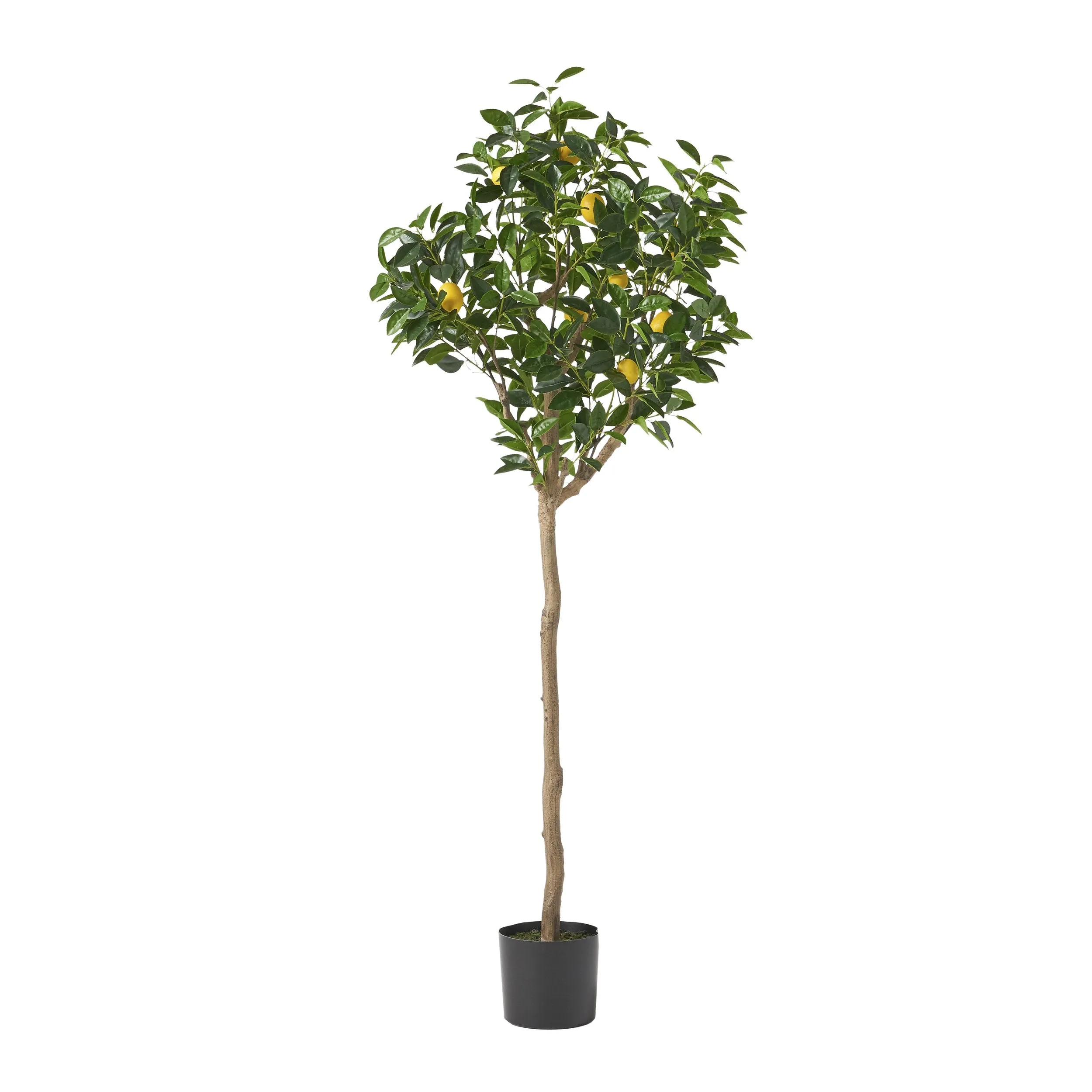 Artificial Lemon Tree - NH719313
