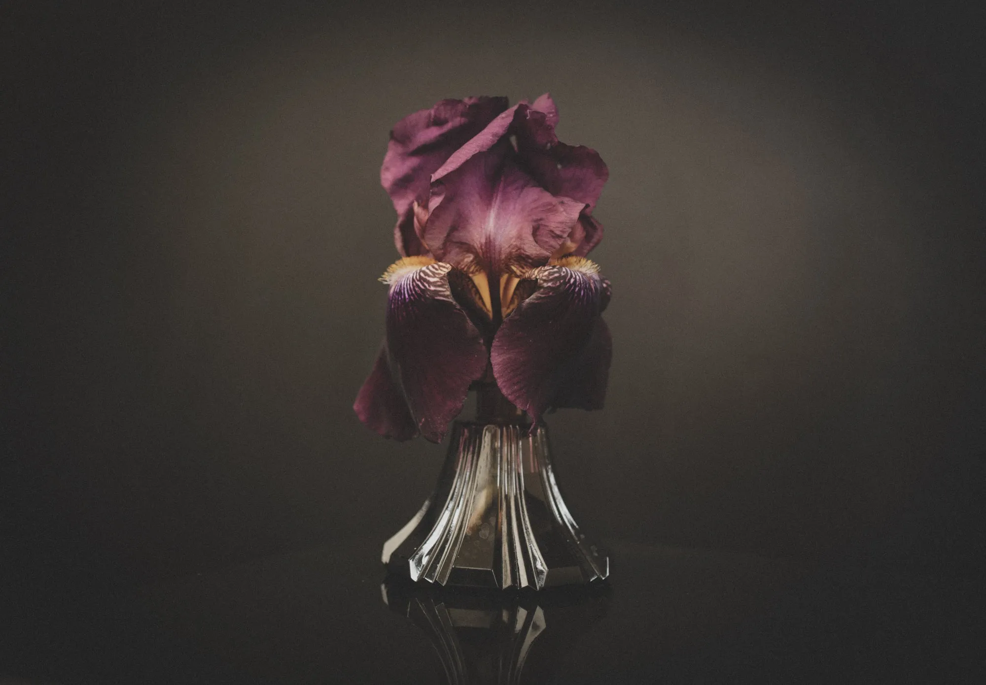 Black Iris - Perfume Oil