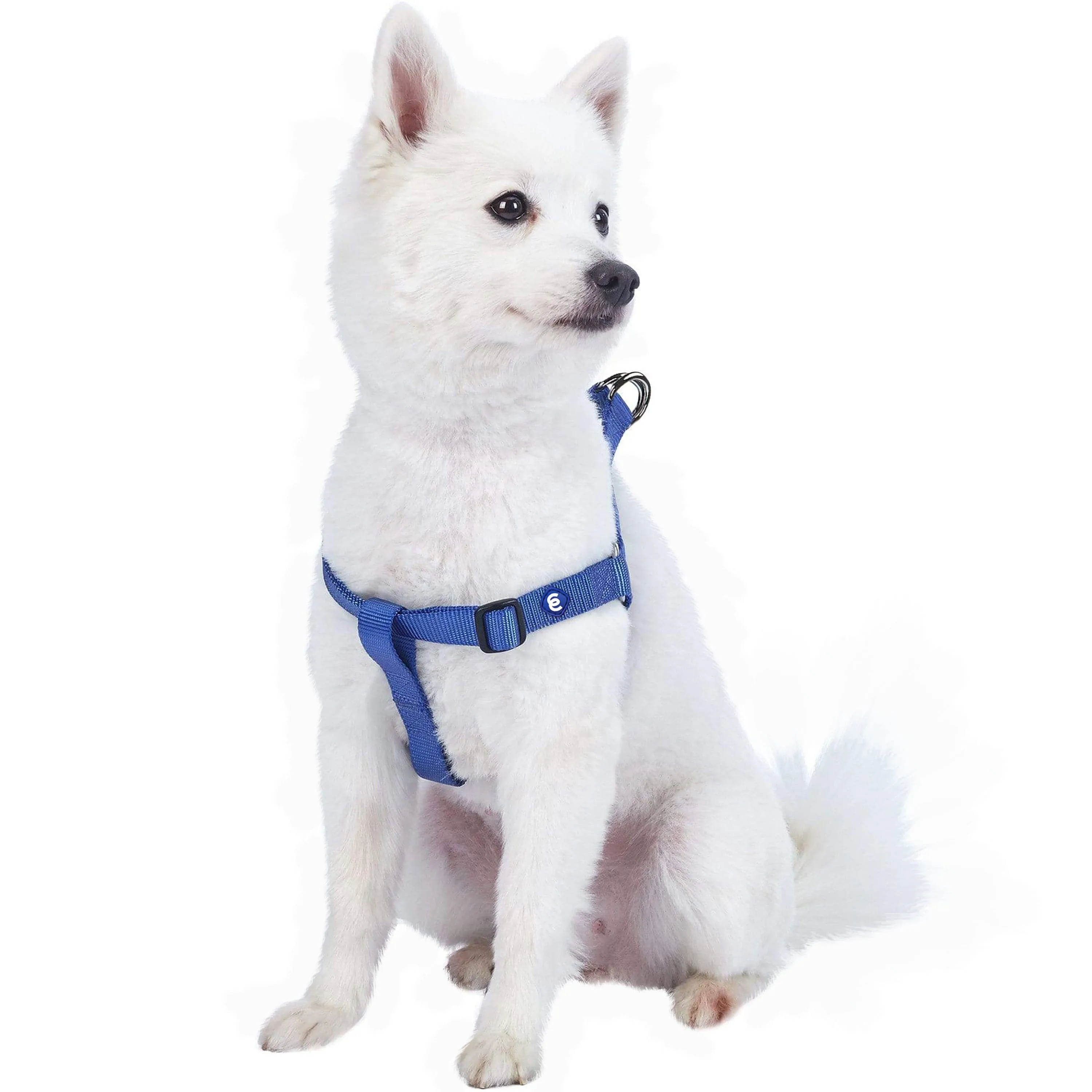 Classic Solid Color Adjustable Dog Harness, Blue