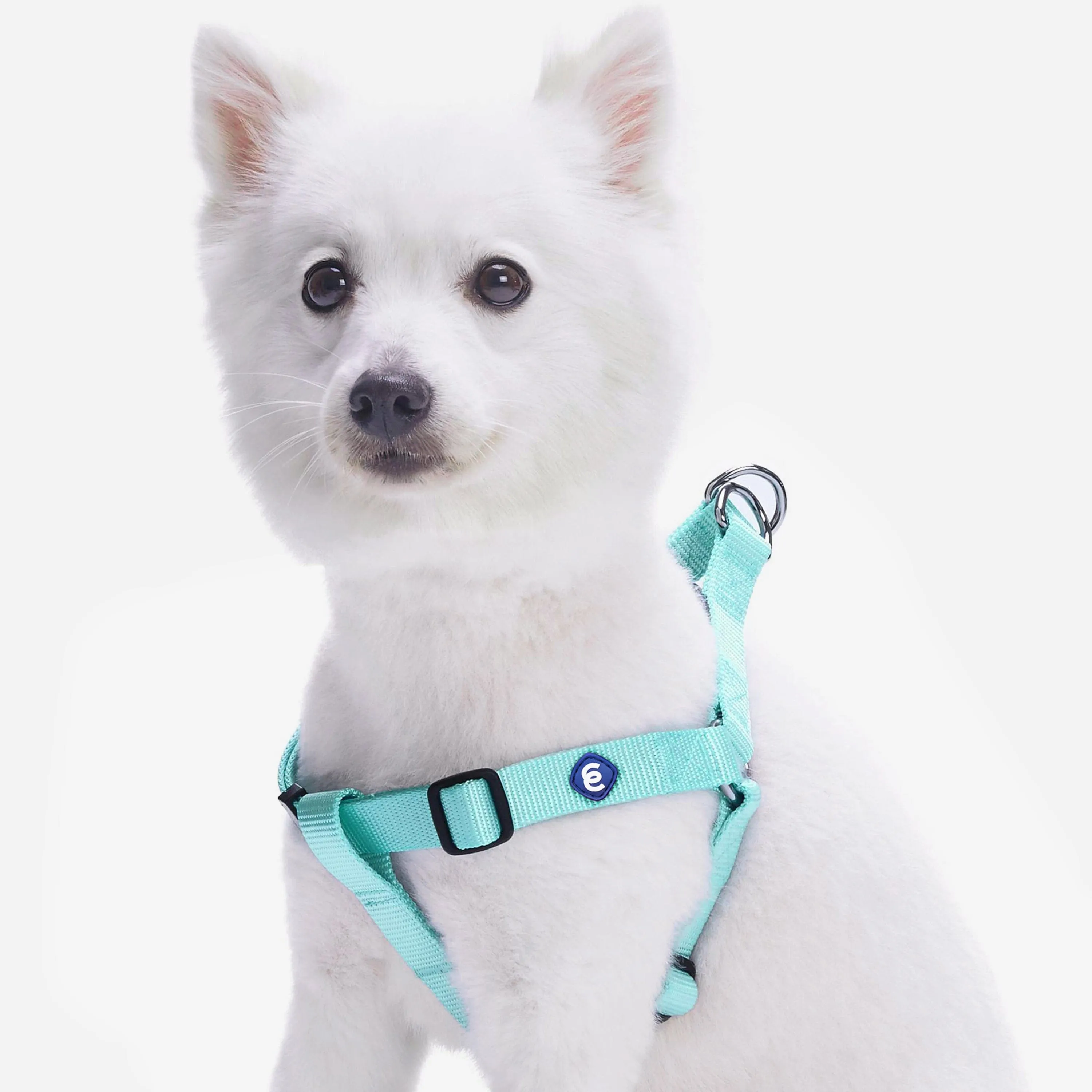 Classic Solid Color Adjustable Dog Harness, Blue
