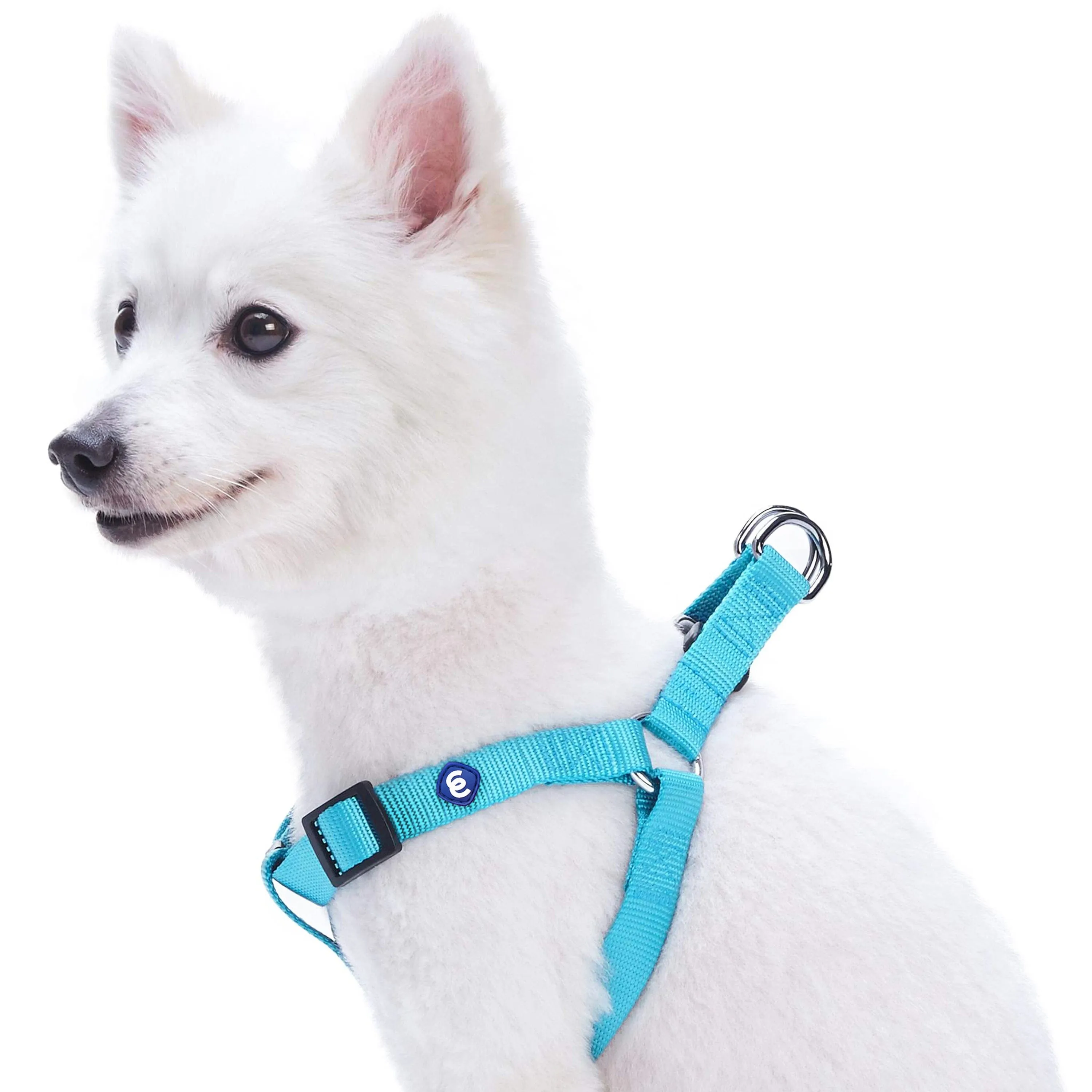 Classic Solid Color Adjustable Dog Harness, Blue