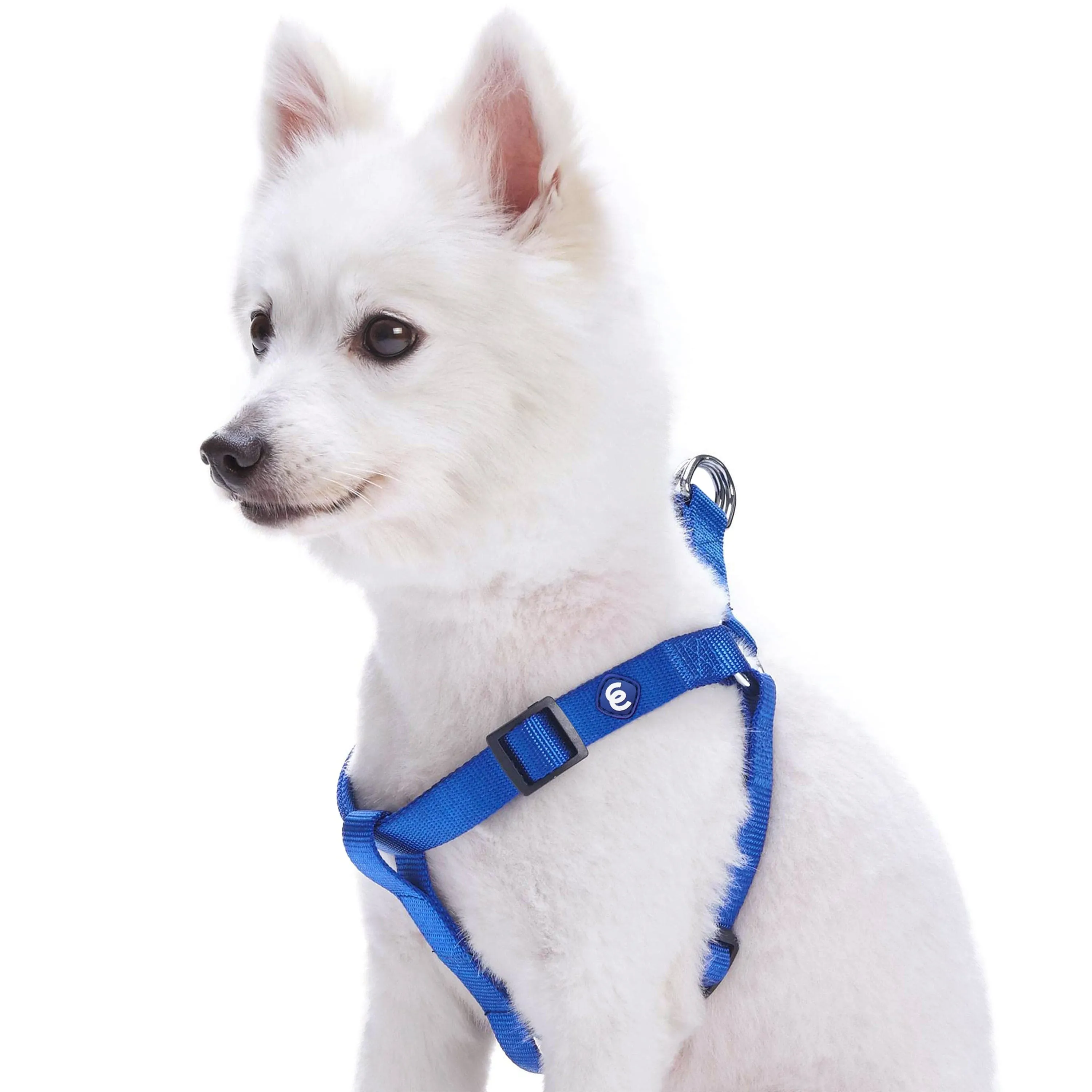 Classic Solid Color Adjustable Dog Harness, Blue