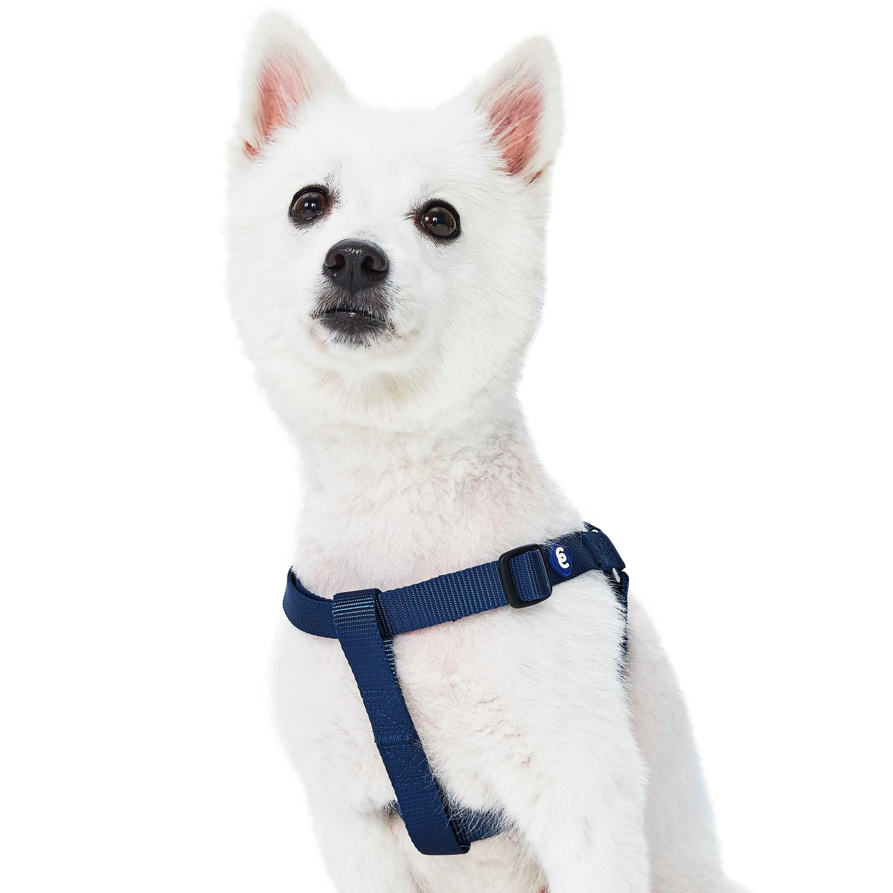 Classic Solid Color Adjustable Dog Harness, Blue