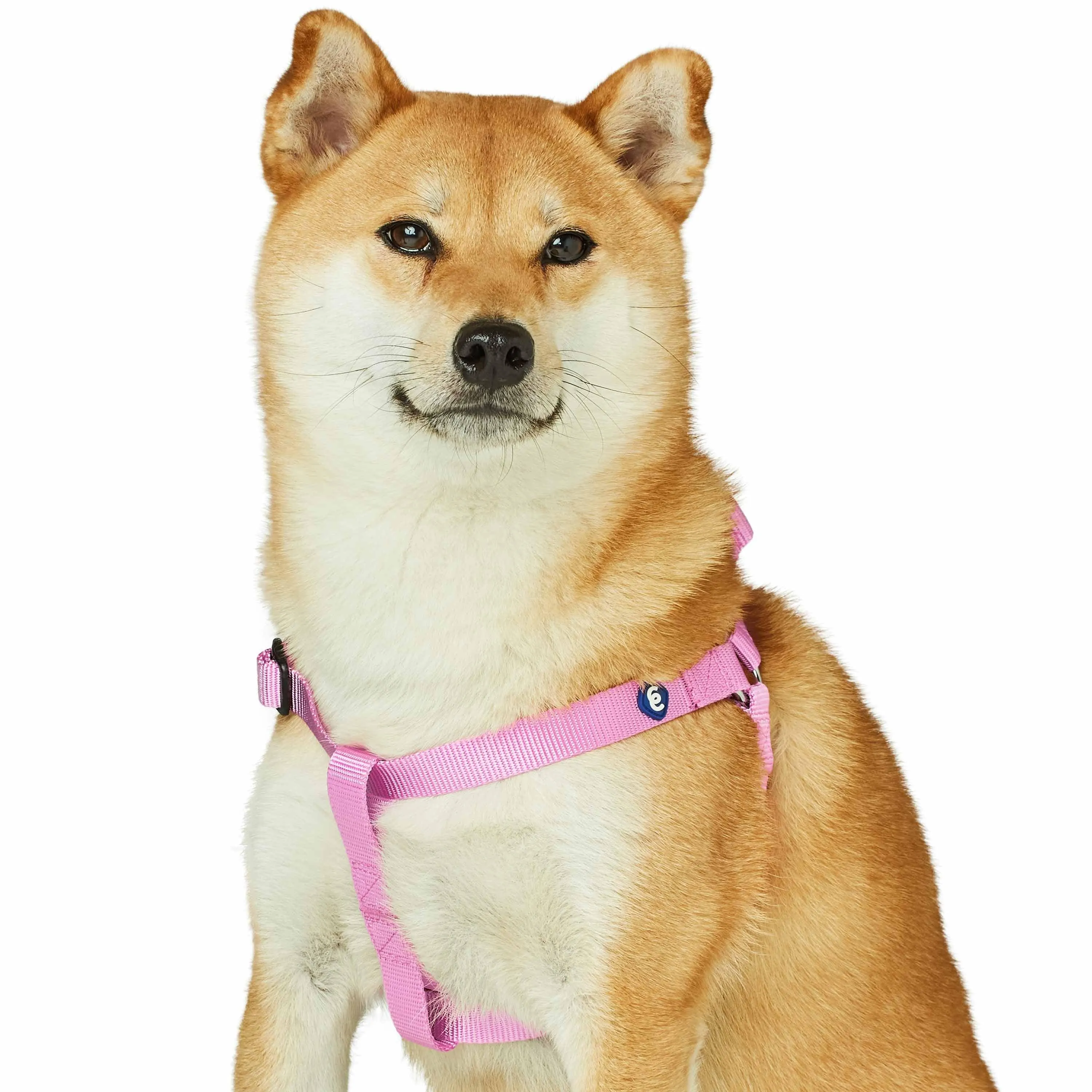 Classic Solid Color Adjustable Dog Harness, Pink/Red