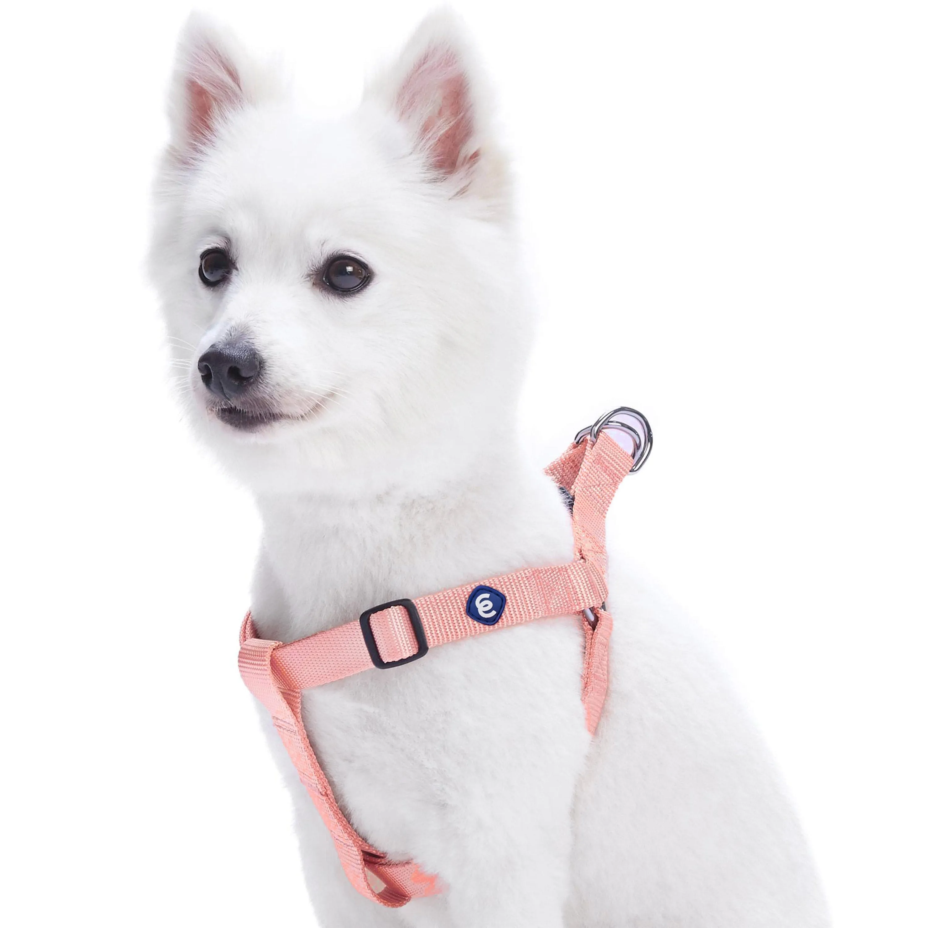 Classic Solid Color Adjustable Dog Harness, Pink/Red