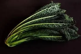 Heirloom Organic Black Magic Lacinato Kale Seeds