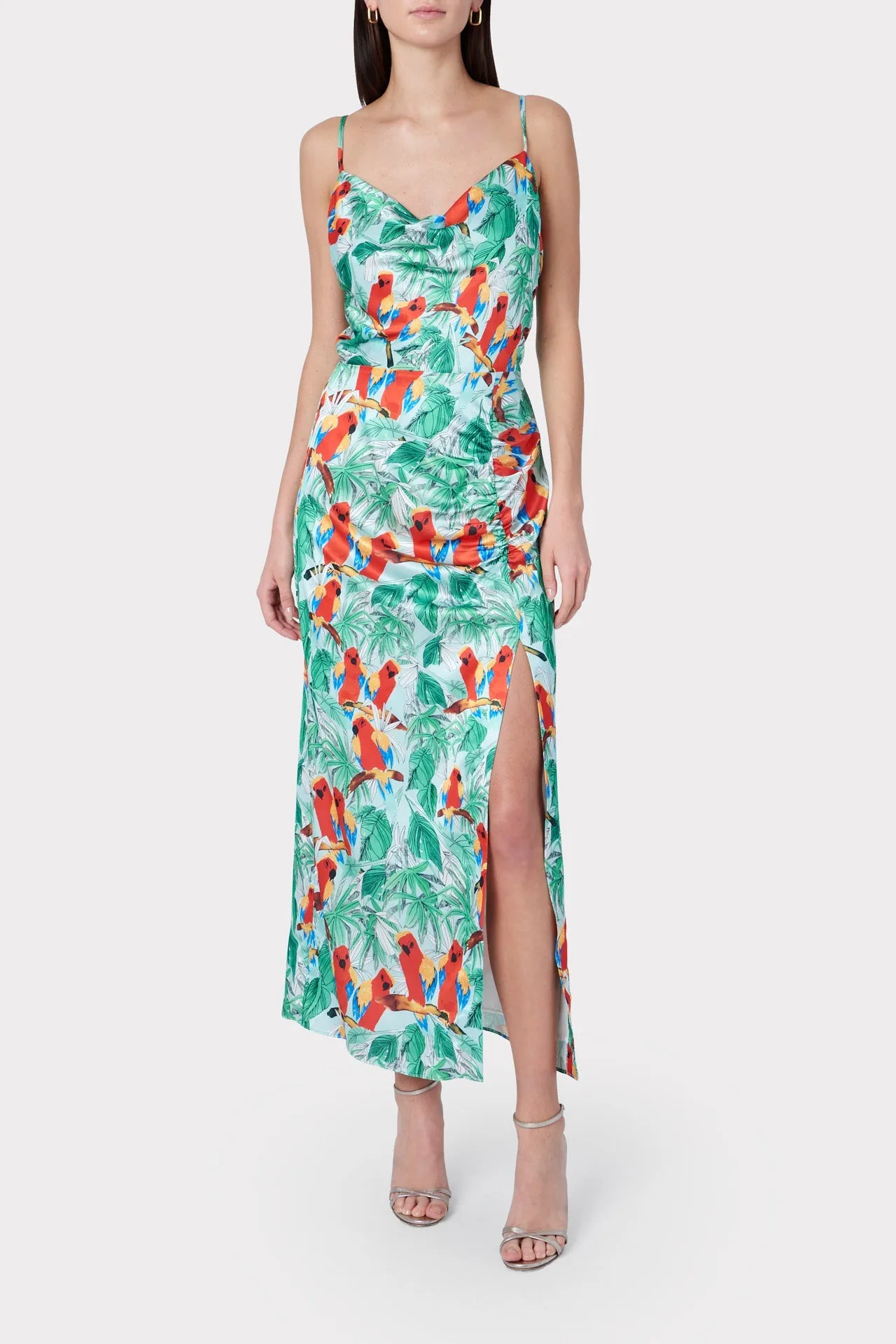 Lilliana Parrot Print Dress